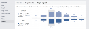 Facebook Insights