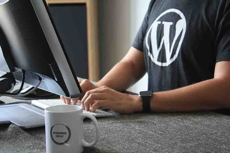 How to Make Money with Your WordPress Knowledge